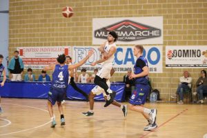 CarloStella NOVA Basket