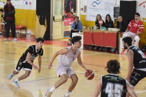 Gentile NOVA Basket