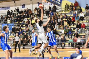 Golino NOVA Basket