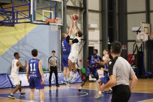 Golino NOVA Basket