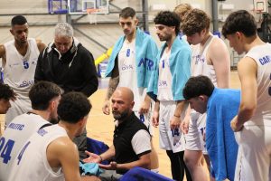 PizzutoGentile NOVA Basket
